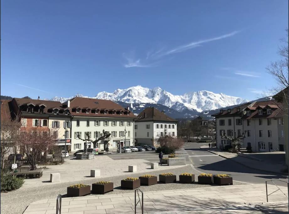 Appartement Spacieux Au Pays Du Mont-Blanc Sallanches Ngoại thất bức ảnh